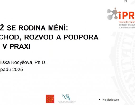 Webinář: Když se rodina mění: rozchod, rozvod a podpora dětí v praxi